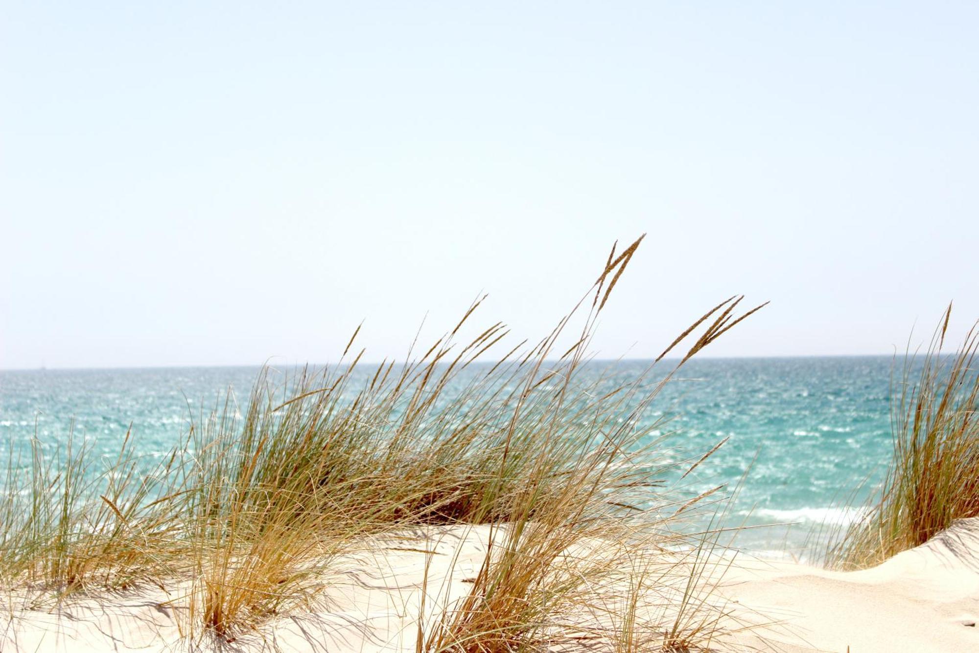Ocean Sands Beach Inn (Adults Only) St. Augustine Extérieur photo